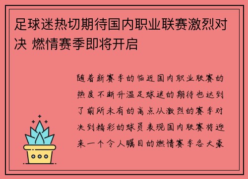 足球迷热切期待国内职业联赛激烈对决 燃情赛季即将开启