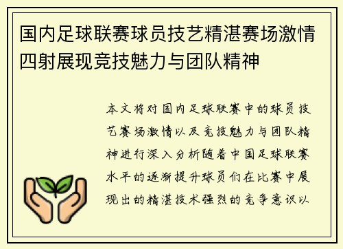 国内足球联赛球员技艺精湛赛场激情四射展现竞技魅力与团队精神
